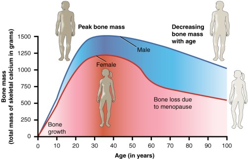 Age_and_Bone_Mass